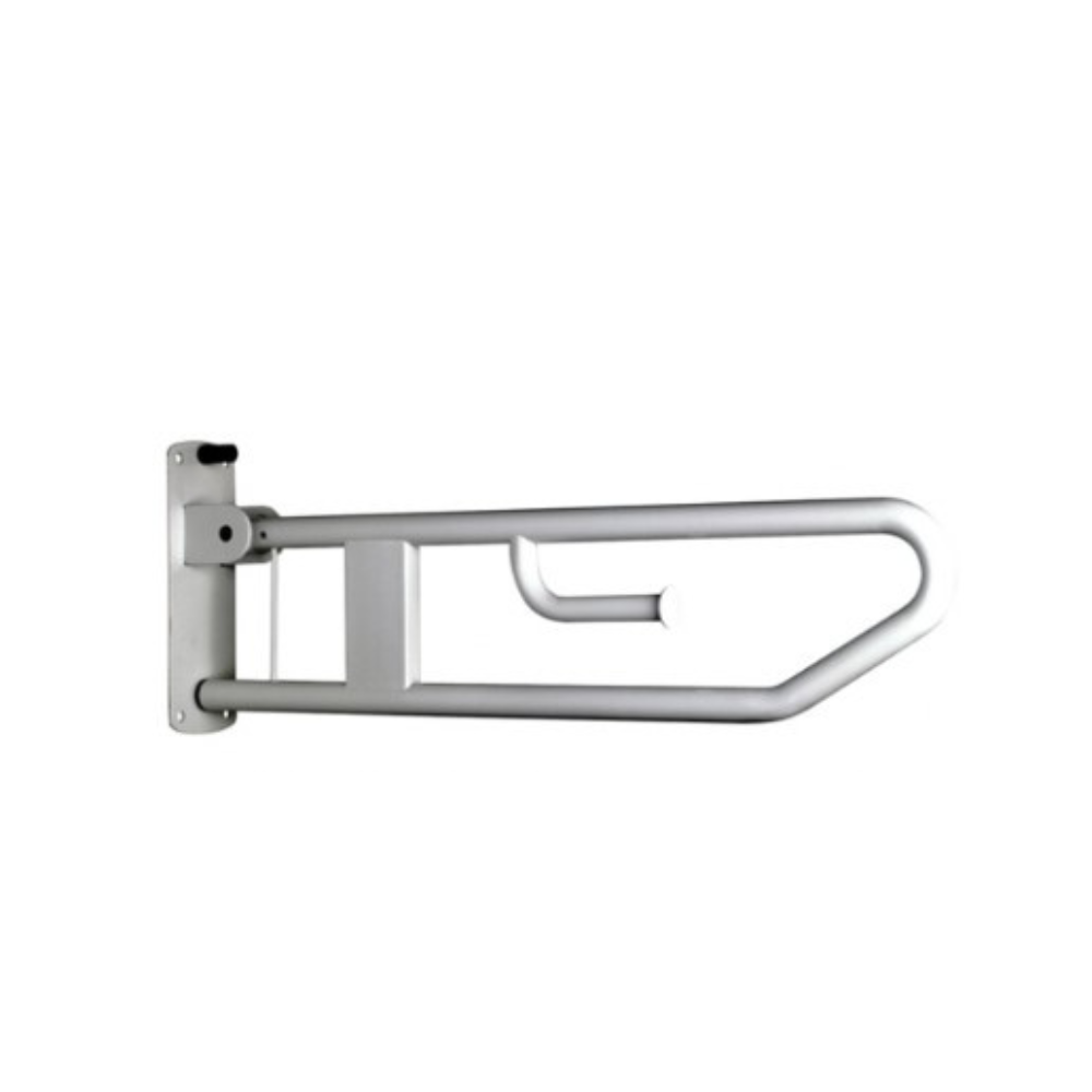 Bradley 832 Drop Down Rail Nurse Call and Toilet Roll Holder
