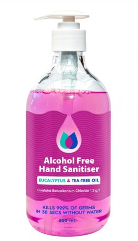 BEST BUY  972-1 Alcohol Free Hand Sanitiser - LAST STOCK