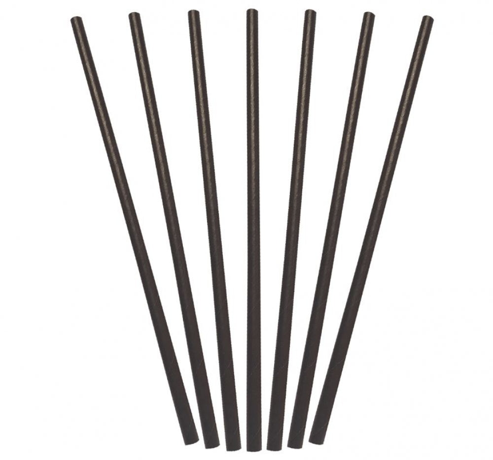 Castaway  PSREG Paper Straws Regular 205mm L