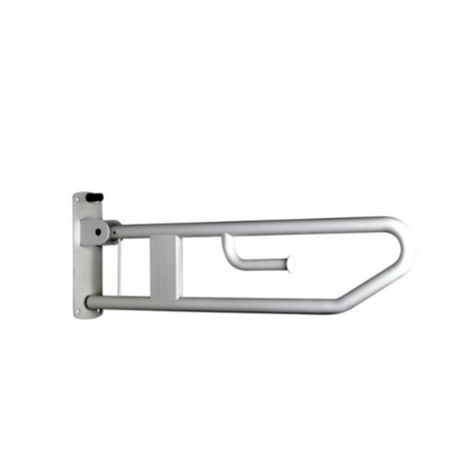 Bradley  832 Drop Down Rail Nurse Call and Toilet Roll Holder